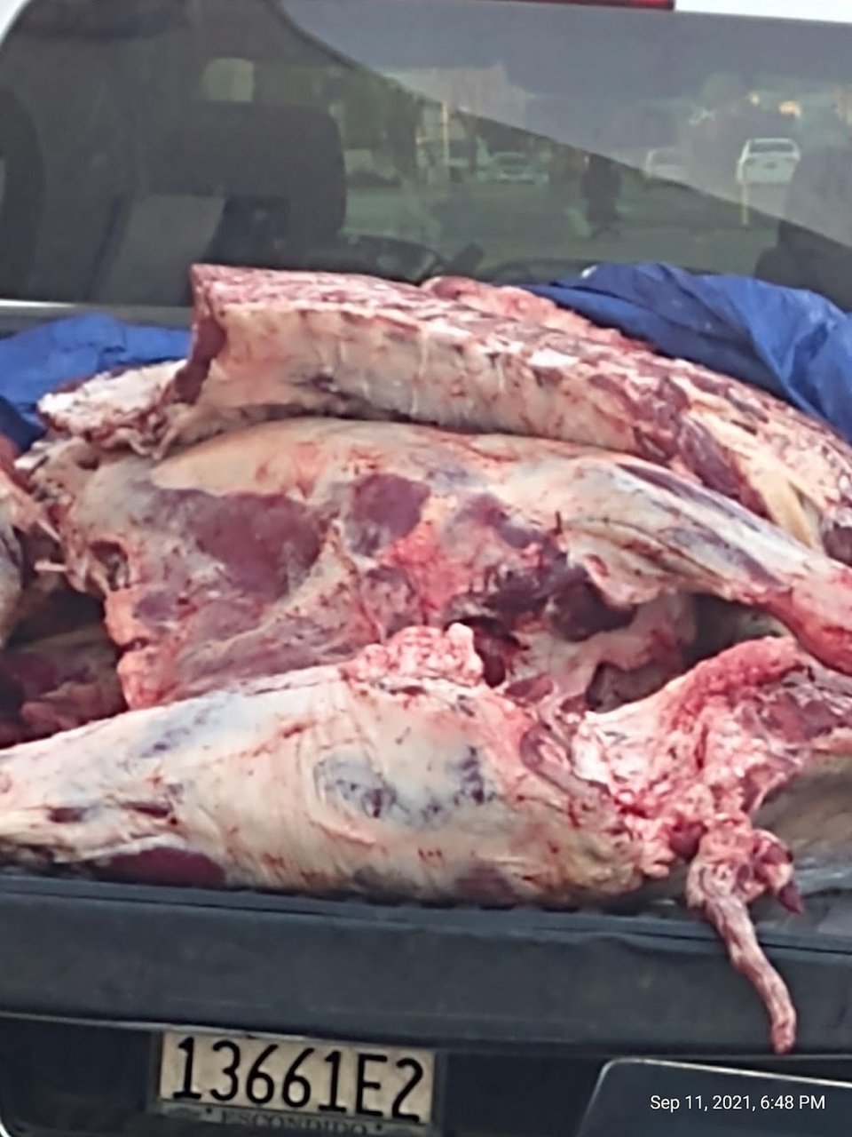 Luke Warm Outdoor Meat